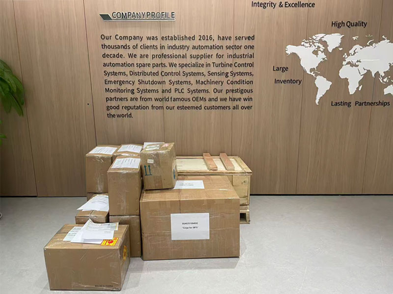 يناير 2026: بداية قوية مع شحنات قياسية ونمو في المبيعات